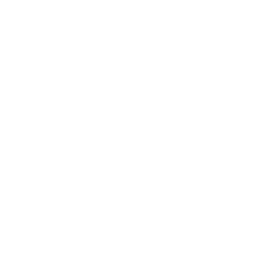 Pita Pocket Logo White